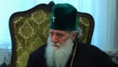 Предстоятель Болгарской Православной Церкви прибыл в Москву