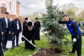 Стартовала церковная экологическая программа «Древо Жизни» по озеленению городов и сел Казахстана