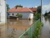 Сотрудники Синодального отдела по церковной благотворительности посетили ряд населенных пунктов в пострадавшей от наводнения Сербии