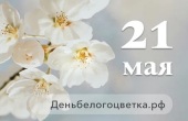 Православная служба «Милосердие» проведет благотворительный праздник «Белый цветок» в Марфо-Мариинской обители в Москве